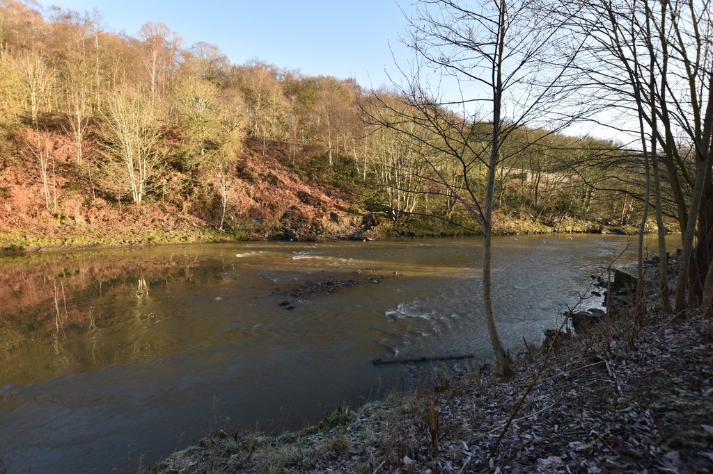 Images for Stoneclough Rise, Radcliffe, Manchester EAID:0c021585af0b9d676445b7c53ff3beb9 BID:1
