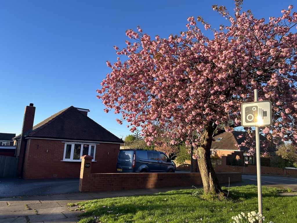 Images for Bolton Road, Bury EAID:0c021585af0b9d676445b7c53ff3beb9 BID:1
